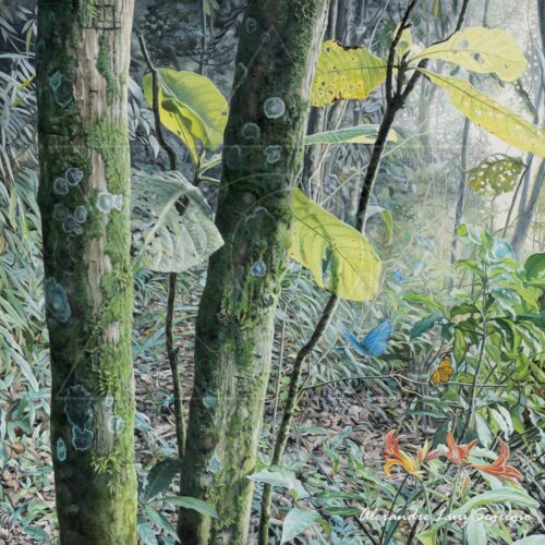 Ares da Cantareira I - fine art