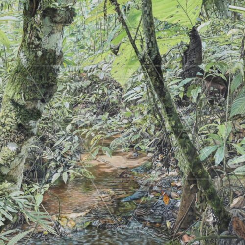 Ares da Cantareira II - arte animada