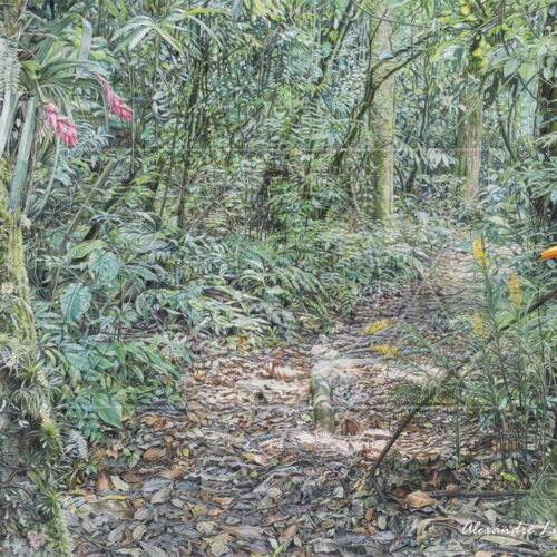 Ares da Cantareira  IV - 2015 - óleo sobre tela - 143 x 107 cm