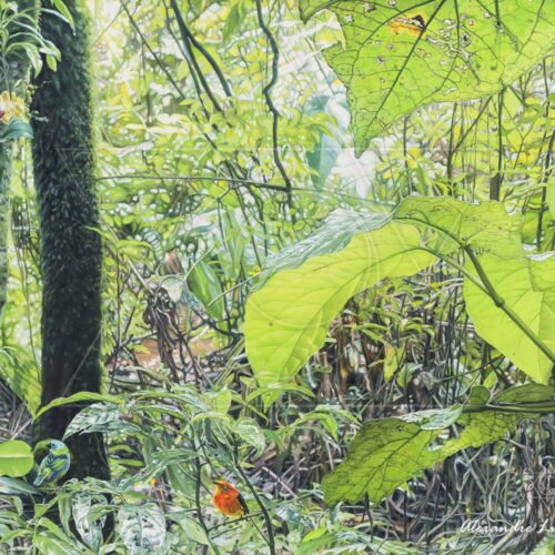 Ares da Cantareira  V - fine art