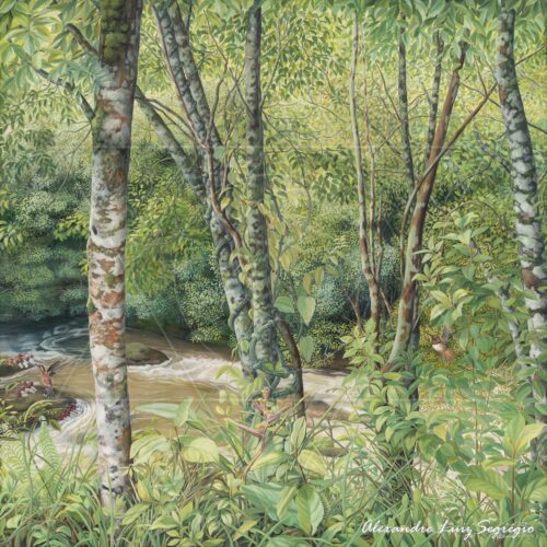 Águas de Bueno Brandão I - 2013 - óleo sobre tela - 122 x 120 cm