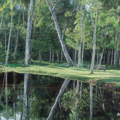 Águas de Cruzeiro do Sul - 2014 - óleo sobre tela - 200 x 120 cm