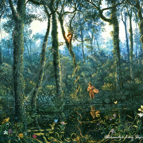 Energia da Floresta - arte animada