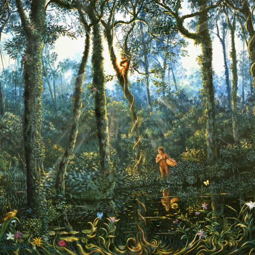 Energia da Floresta - fine art