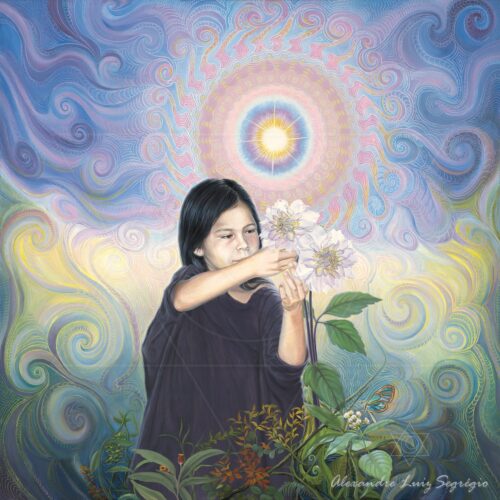 Fina Flor - fine art