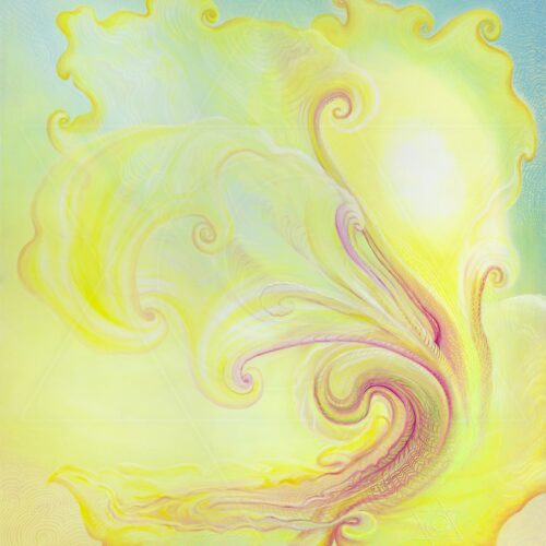 Flor de Luz - 2011 - óleo sobre tela - 60 x 70 cm