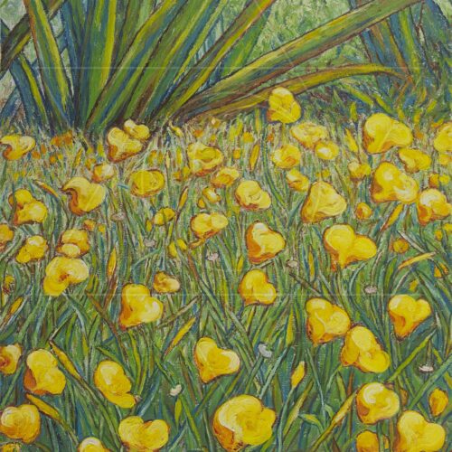 Flores Amarelas - fine art