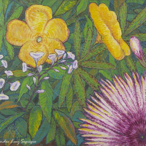 Flores amarela e rosa - fine art