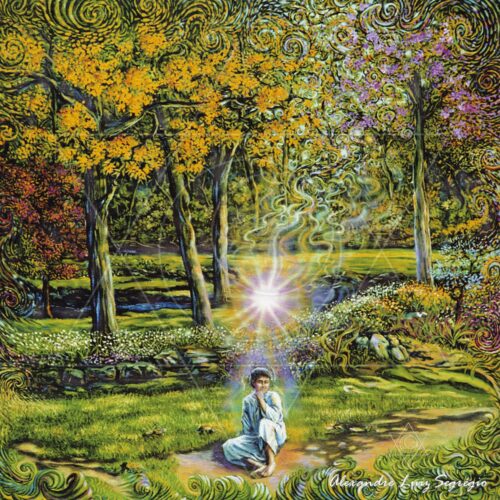 Fluidificar - arte animada