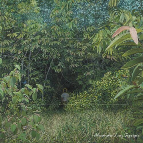 Luz do Caminho - fine art