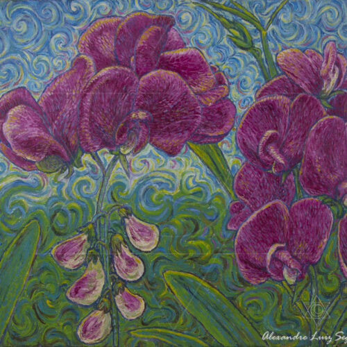 Orquídeas Rosa - fine art