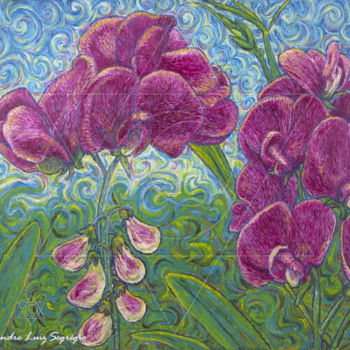 Orquídeas Rosa - 2003 - acrílica sobre tela - 60 x 50 cm