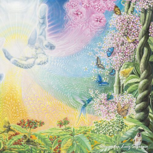 Rei dos Encantos II - arte animada