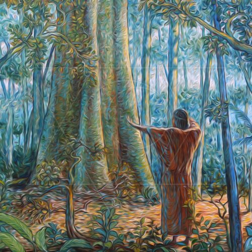 Reconhecimento - fine art