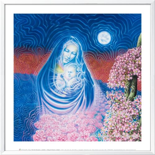 Rei dos Encantos - Det. 1 - pôster emoldurado