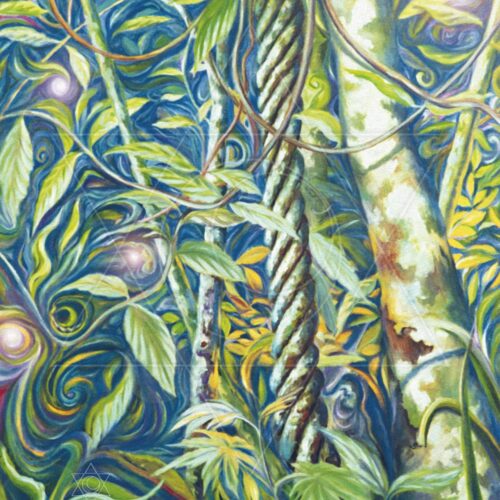 Alegria da Floresta - fine art