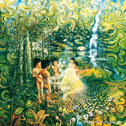 Amigo da Floresta - arte animada