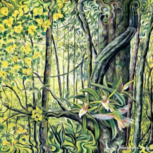 Beija Flor - fine art