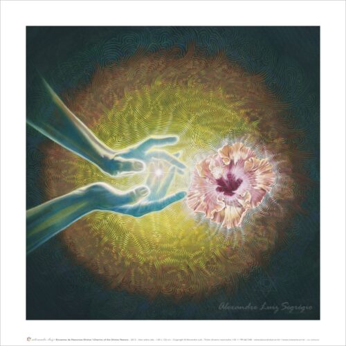 Encantos da Natureza Divina - pôster