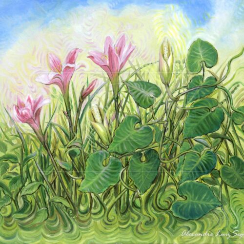 Filodendro - 2006 - óleo sobre linho - 24 x 30 cm