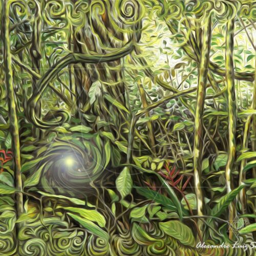 Luz da Floresta I - fine art