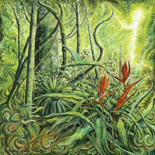 Heliconia - 2006 - óleo sobre linho - 24 x 24 cm