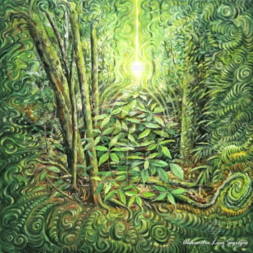 Luz da floresta II - 2006 - óleo sobre linho - 24 x 24 cm