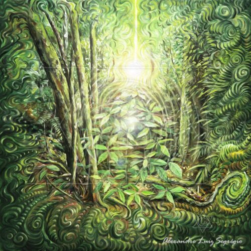 Luz da floresta II - fine art