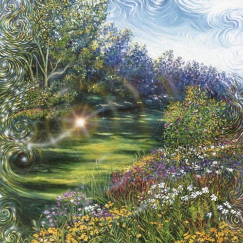 Luz da Natureza - fine art