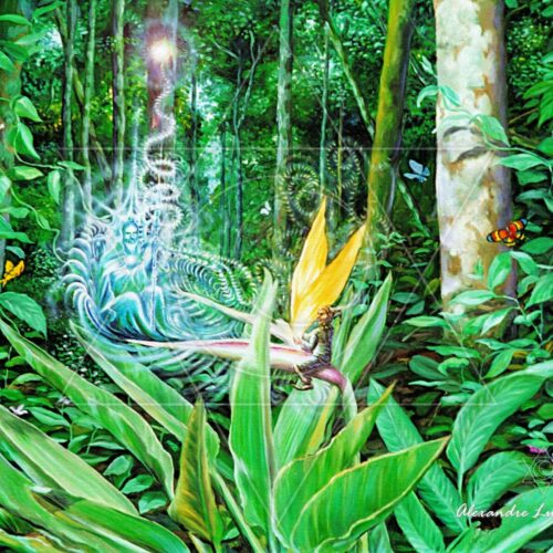 Magia I I - fine art