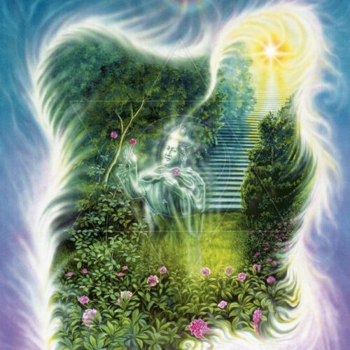 Mistério da Natureza - fine art