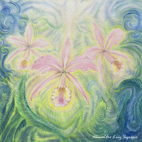 Orquídea - 2006 - óleo sobre linho - 24 x 24 cm